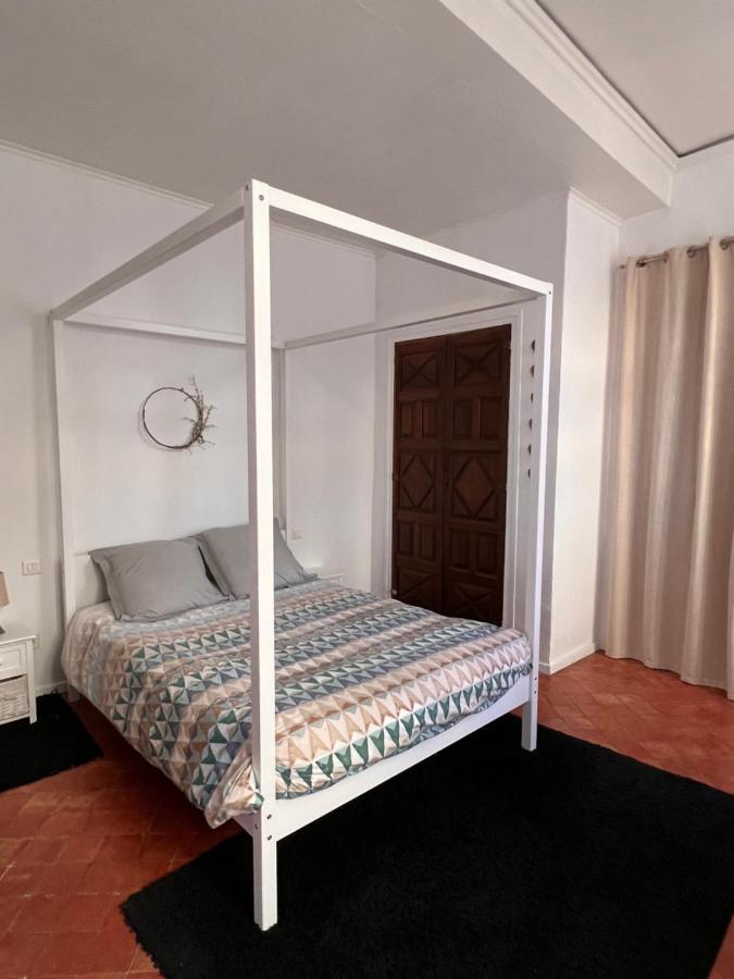 Perpignan Appartement En Plein Centre Historique المظهر الخارجي الصورة