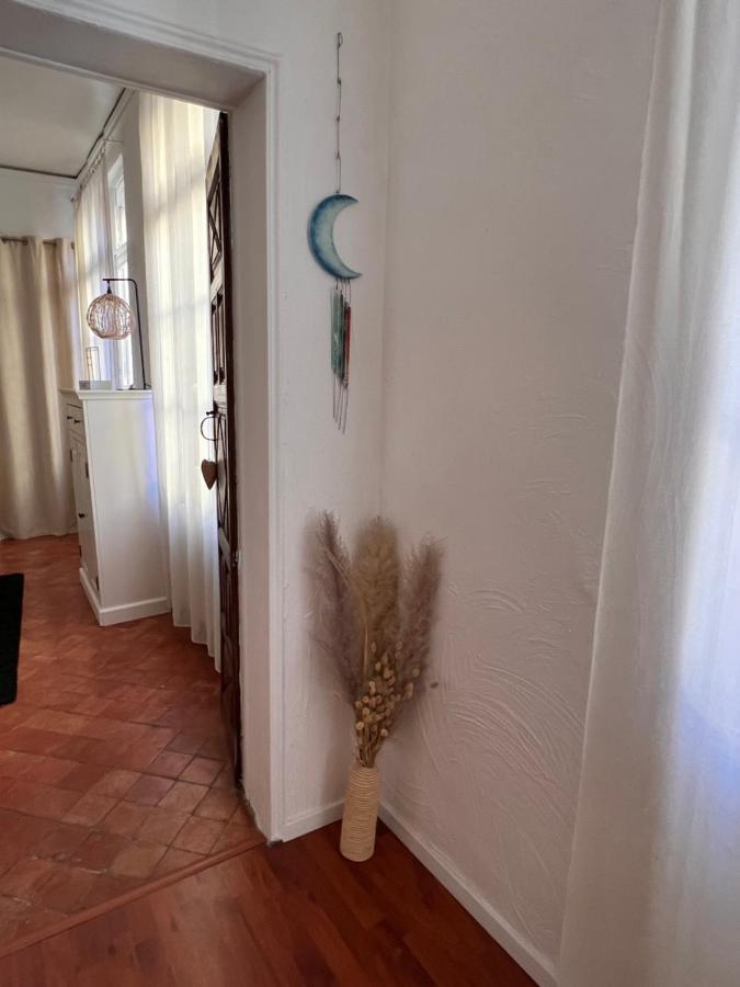 Perpignan Appartement En Plein Centre Historique المظهر الخارجي الصورة